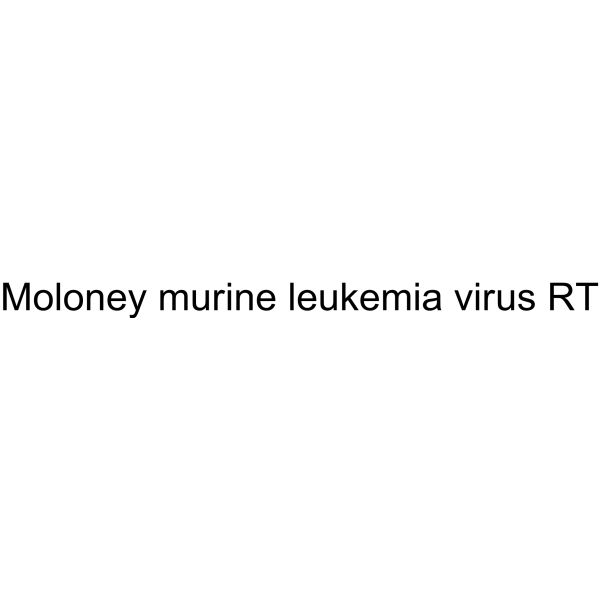Moloney murine leukemia virus RT
